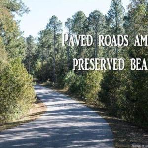 Grande Pines Paved Roads