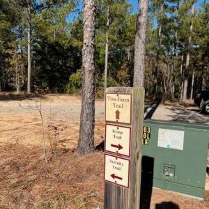 Grande Pines Walking Trails