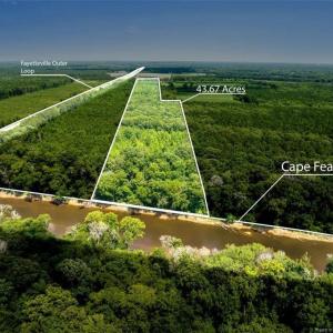 CAPE FEAR RIVER VIEW