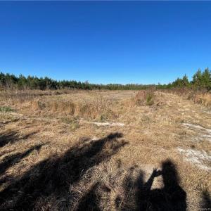 1.2 acre Duck Impoundment