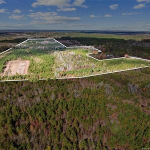 Aerial with Duck Impoundment