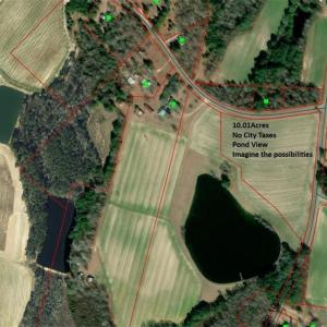 Aerial view from GIS.
