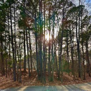 Street view from front of property