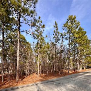 Street view of lot from left side