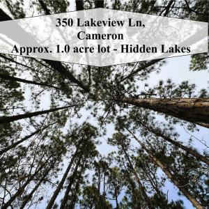 1 acre Wooded Homesite - Canopy View