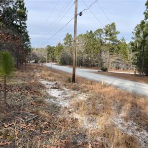 View from Lot to Lakeview Ln.