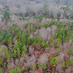 Above view from rear