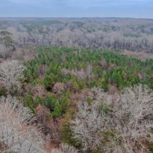 Aerial Right Angle View