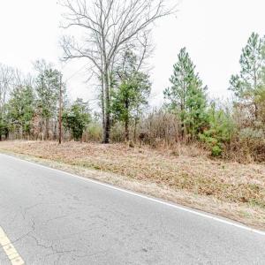 Flint Hill Church Rd View