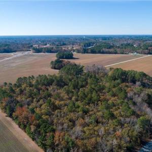 54.16 Acres / Strickland Bridge Road