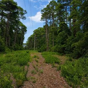 easement