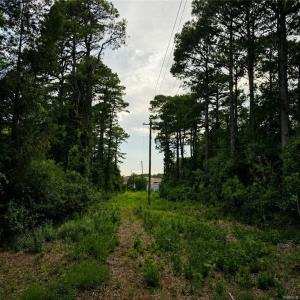 easement