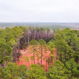 View from Rear Entrace of Trace