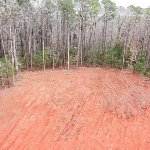 View into Cleared Portion.