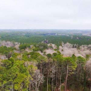 Add'l Wooded Section of Acreage