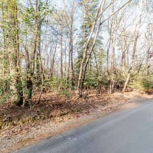 Long Point View