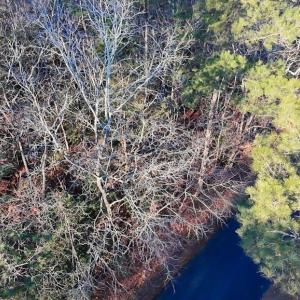 Aerial from Long Point - looking down.