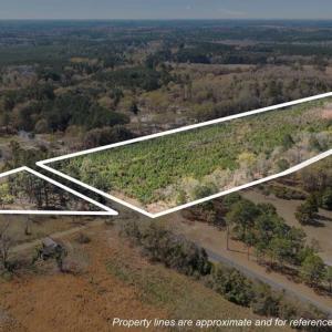 TRACT 2SCHOLL ROAD LAND - 15+ ACRES