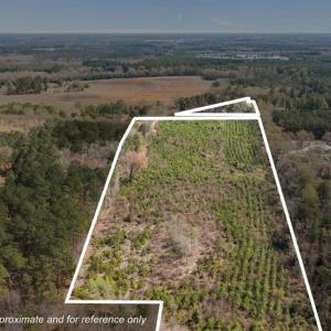 TRACT 2SCHOLL ROAD LAND - 15+ ACRES