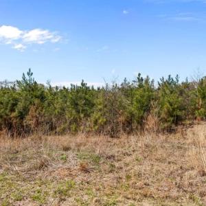 TRACT 2SCHOLL ROAD LAND - 15+ ACRES