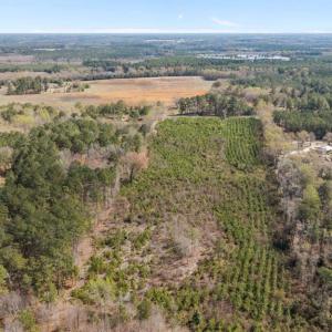 TRACT 2SCHOLL ROAD LAND - 15+ ACRES