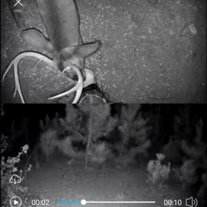 TRACT 2SCHOLL ROAD LAND - 15+ ACRES