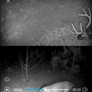 TRACT 2SCHOLL ROAD LAND - 15+ ACRES