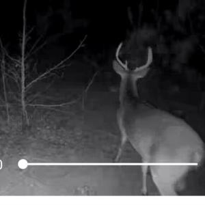 TRACT 2SCHOLL ROAD LAND - 15+ ACRES