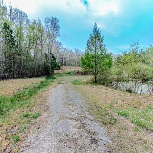 Driveway onto property.