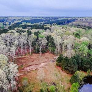 View toward proposed home site