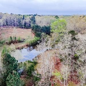 Aerial View from cul-de-sac