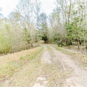 Driveway toward cul-de-sac