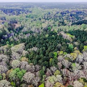 Loving all this privacy!