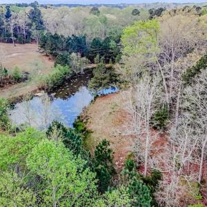 Aerial view above driveway