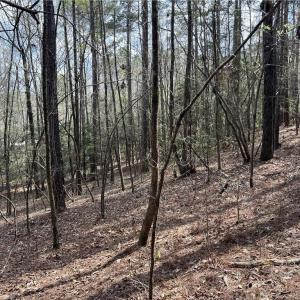 Slope toward Corner of Blue Yonder