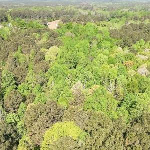 Aerial View 10 acres toward 5 acres