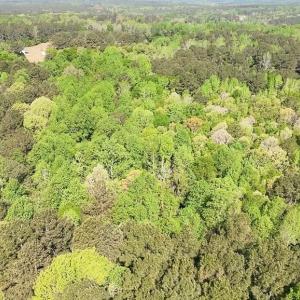 5 acres Overhead View