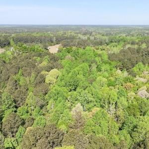 Canopy view of acreage