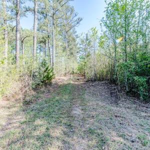 Pathway View thru acreage