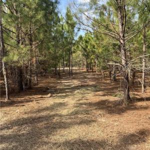Interior View of acreage
