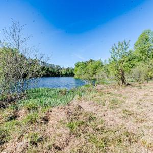 Recently mulched area towared pond.