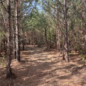 Add'l Pathway View
