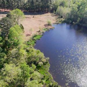 Pond View