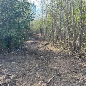Add'l Pathway View