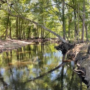 South River