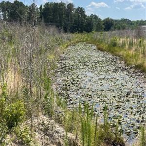 1 of 3 ponds
