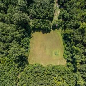 Hunting area with Stand