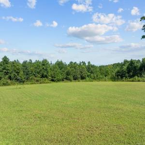 Cleared area in center of 13 acres