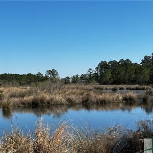 Community Serene Duck Ponds
