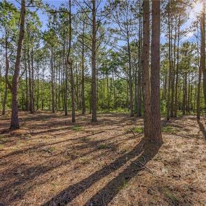 Lot 65 Telfair Plantation